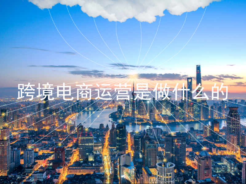跨境电商运营是做什么的