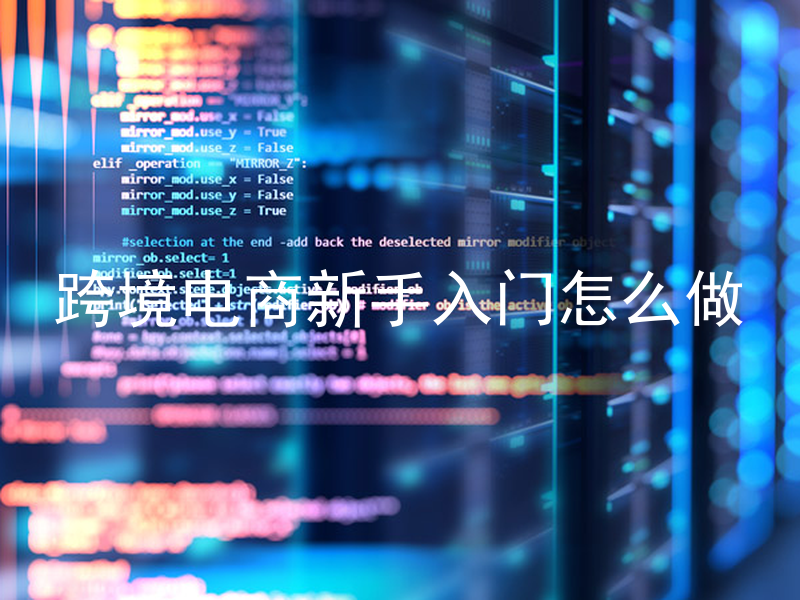 跨境电商新手入门怎么做