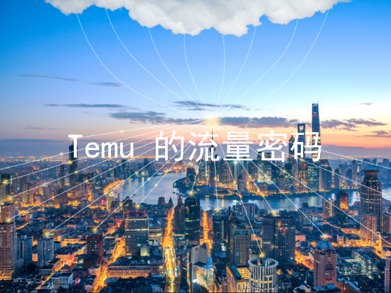 Temu 的流量密码