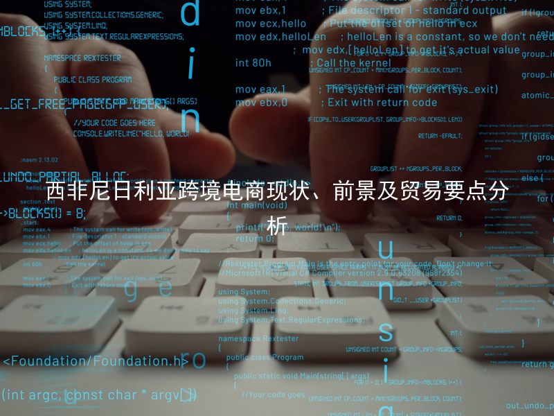 西非尼日利亚跨境电商现状、前景及贸易要点分析