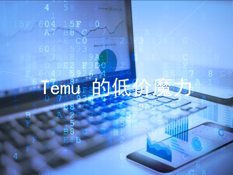 Temu 的低价魔力