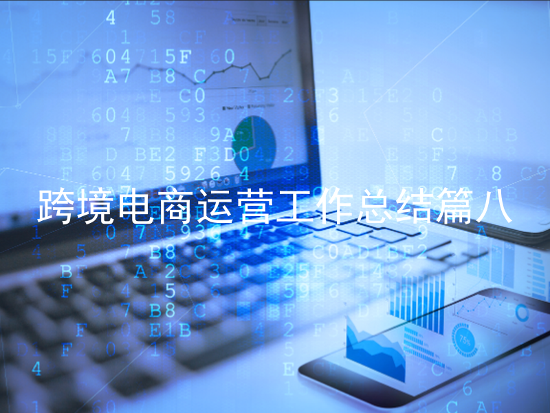 跨境电商运营工作总结篇八