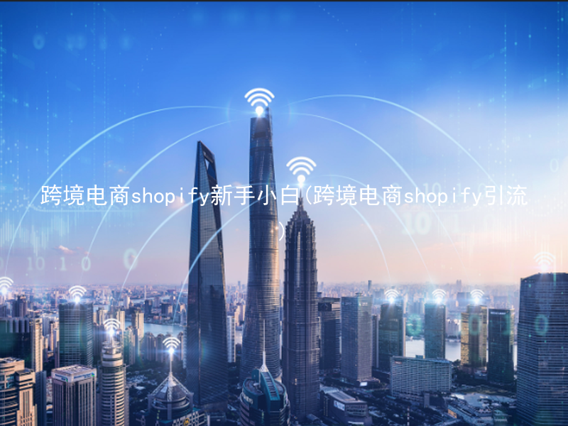 跨境电商shopify新手小白(跨境电商shopify引流)