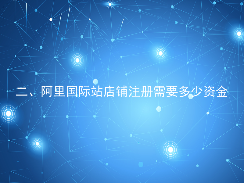 二、阿里国际站店铺注册需要多少资金