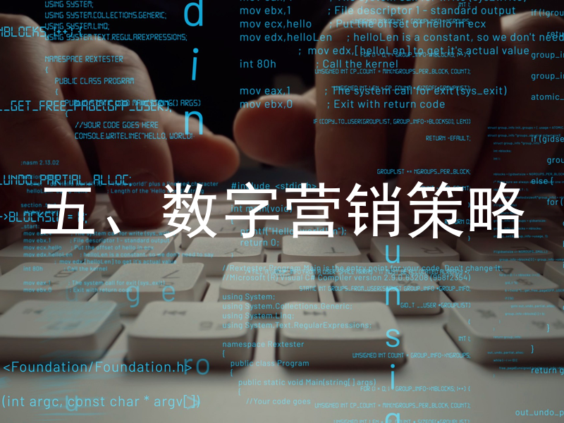 五、数字营销策略