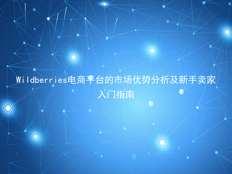 Wildberries电商平台的市场优势分析及新手卖家入门指南
