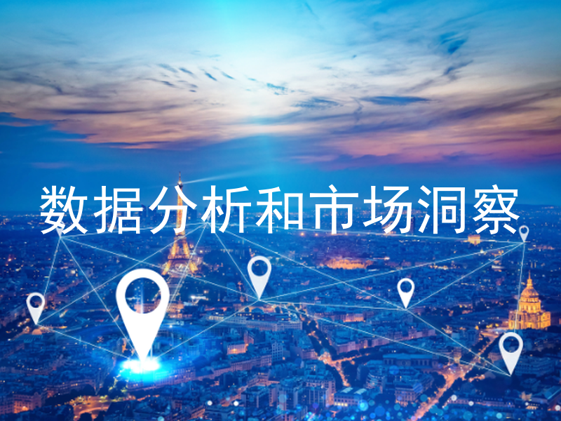 数据分析和市场洞察