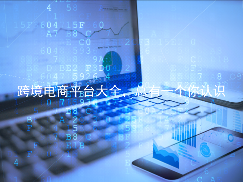 跨境电商平台大全，总有一个你认识