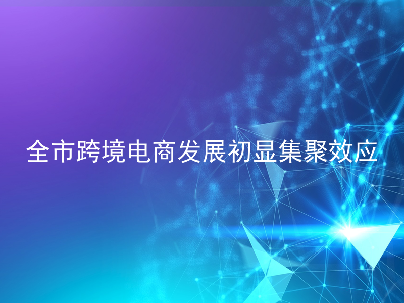全市跨境电商发展初显集聚效应